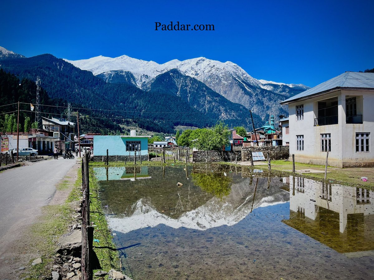 Paddar.com tweet media