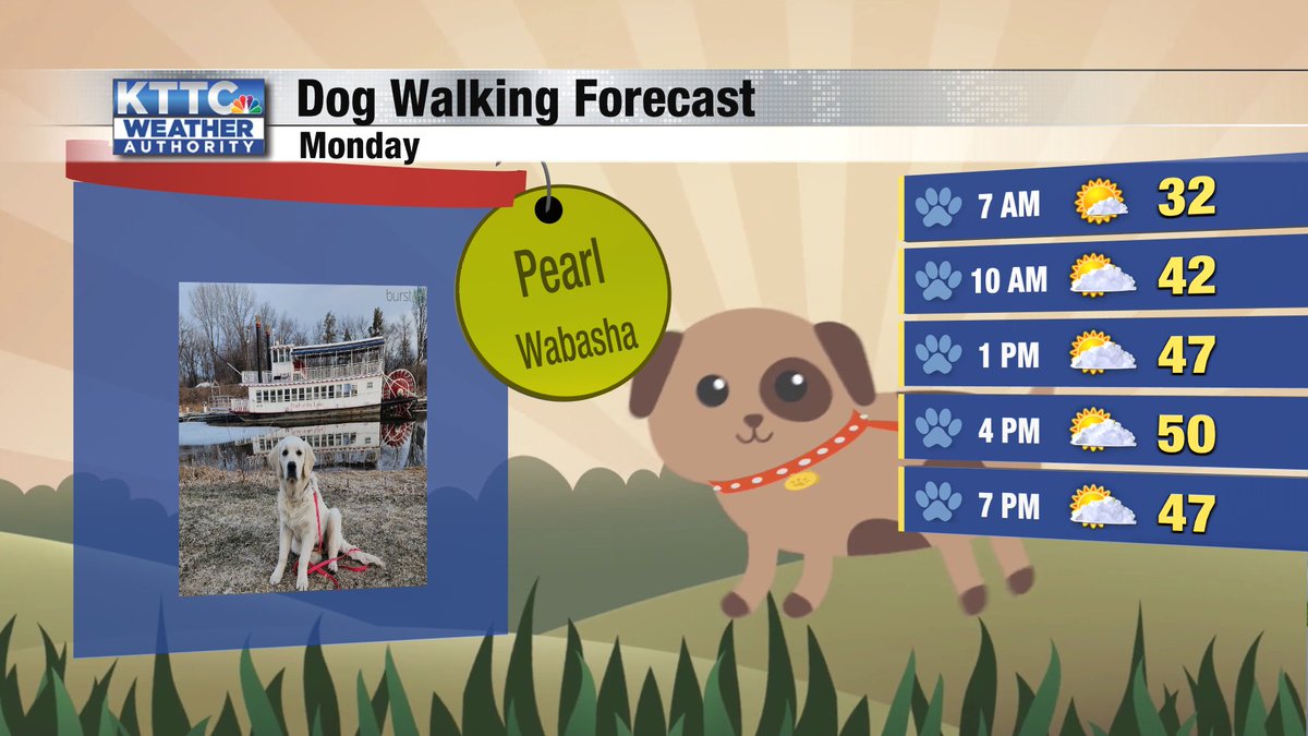 It's going to be a pretty decent day for a dog walk. Expect occasional sunshine and clouds throughout the day with a slight west breeze and temps will warm to the low 50s in the afternoon. #DogWalkingForecast #kttcwx #WabashaMN