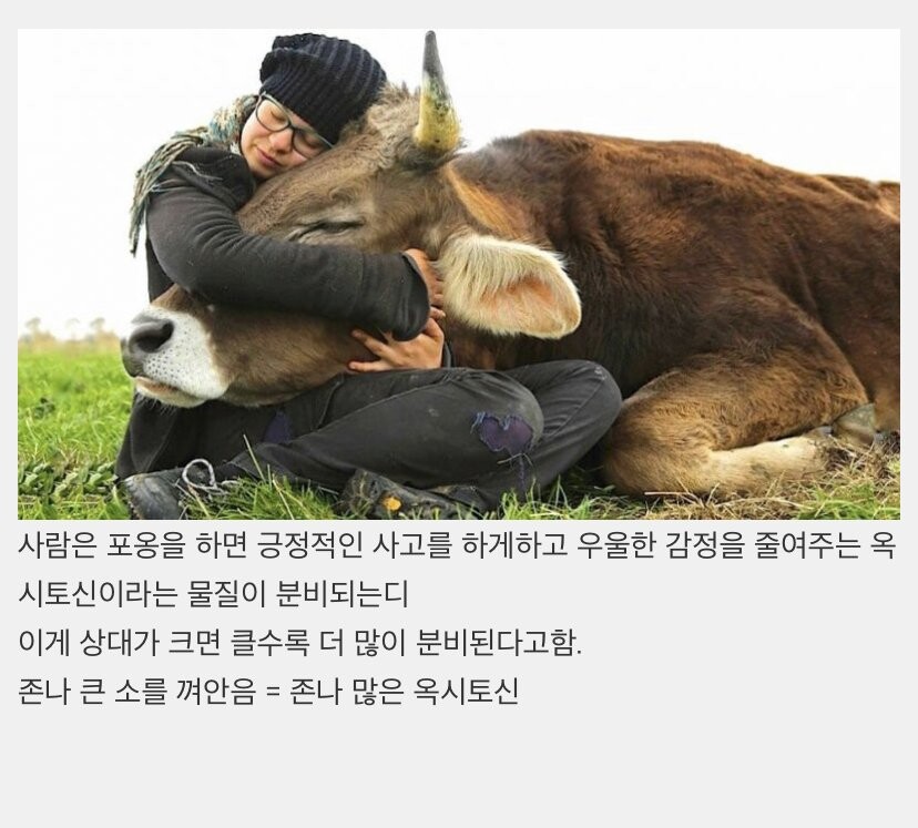 큰사람 선호하는 이유