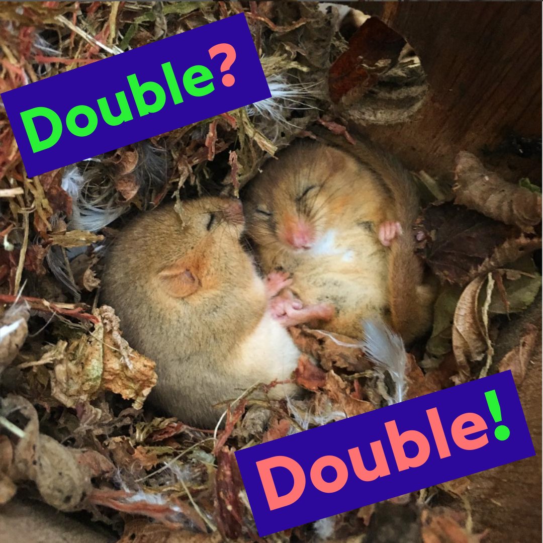 Bore Place tweet media