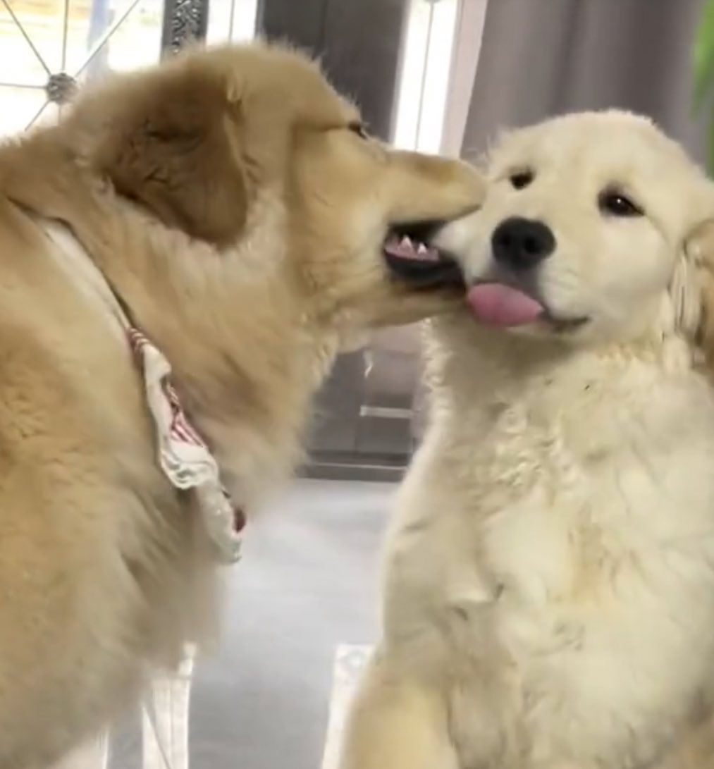 ไม่เจ็บหรอก แบ่