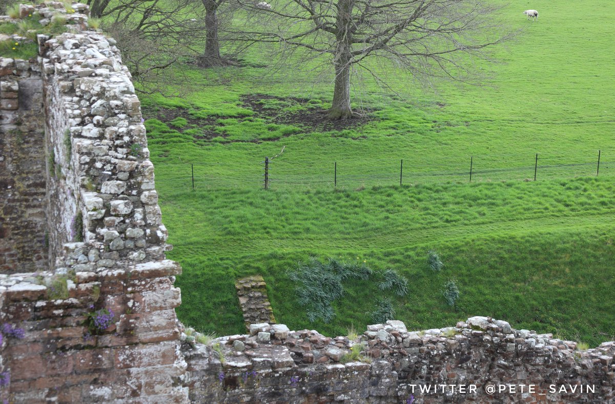 pete_savin's tweet photo. A view from the keep looking down on the line of the NW corner of the roman fort the Medieval ditch has cut through the roman ditch but the slight dip indicates itโs possible line, all the walls are Norman and beyond #Brocavum #BroughamCastle #Cumbria https://t.co/tPxHDR1Y7K