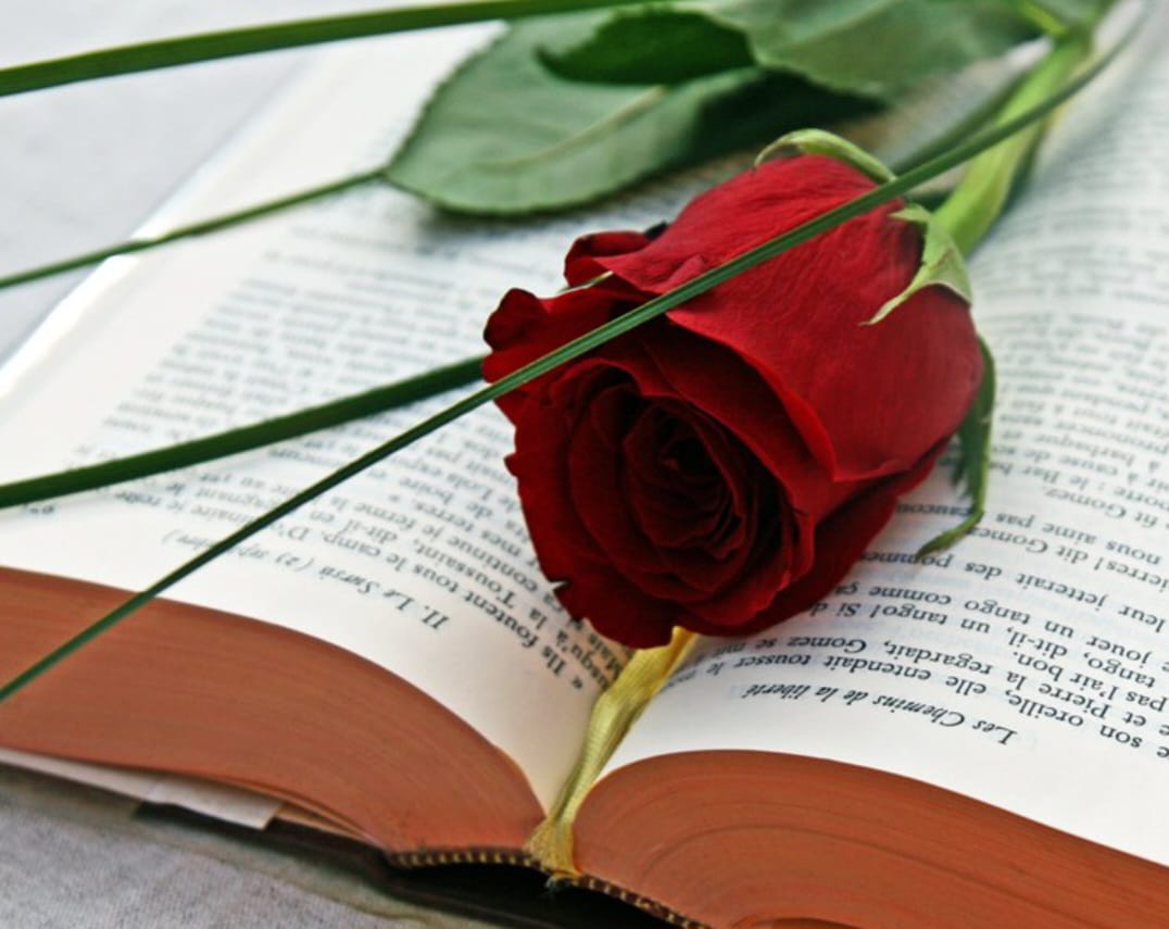 Us deixem l'interessant article que ens fa plantejar l'interrogant de el llibre en paper o digital?

elperiodic.ad/opinio/article…