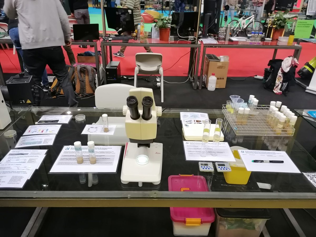 i3S_UPorto's tweet photo. Did you manage to go to #MostraUP &amp; stop by our stand? If not, you missed a ton of fun🙃
Thank you, thank you, thank you (once isn't enough) to all our volunteers. You are the perfect embodiment of what #i3S is about: great science and great people🫶 
#scienceoutreach #SciComm https://t.co/SBDBo2rFHD