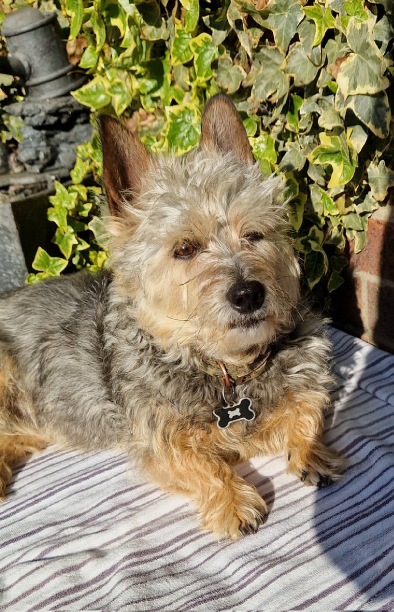 jennystape's tweet photo. Here wiv Dad while Muvver gets her eyes tested
#BoyTime https://t.co/7wfRJtdPGk