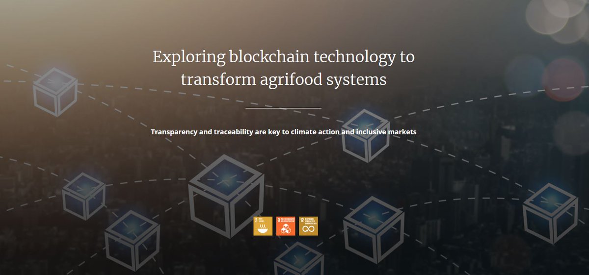 TraceOliveGR's tweet photo. 🤔 Πώς μπορεί η τεχνολογία #blockchain να συμβάλλει στο μετασχηματισμό της γεωργίας; 👇

https://t.co/rz8E0QxA7q από FAO

#ιχνηλασιμότητα #ΨηφιακήΓεωργία #UNFAO #FAO #traceability #blockchaintechnology https://t.co/3YVbthBIqN