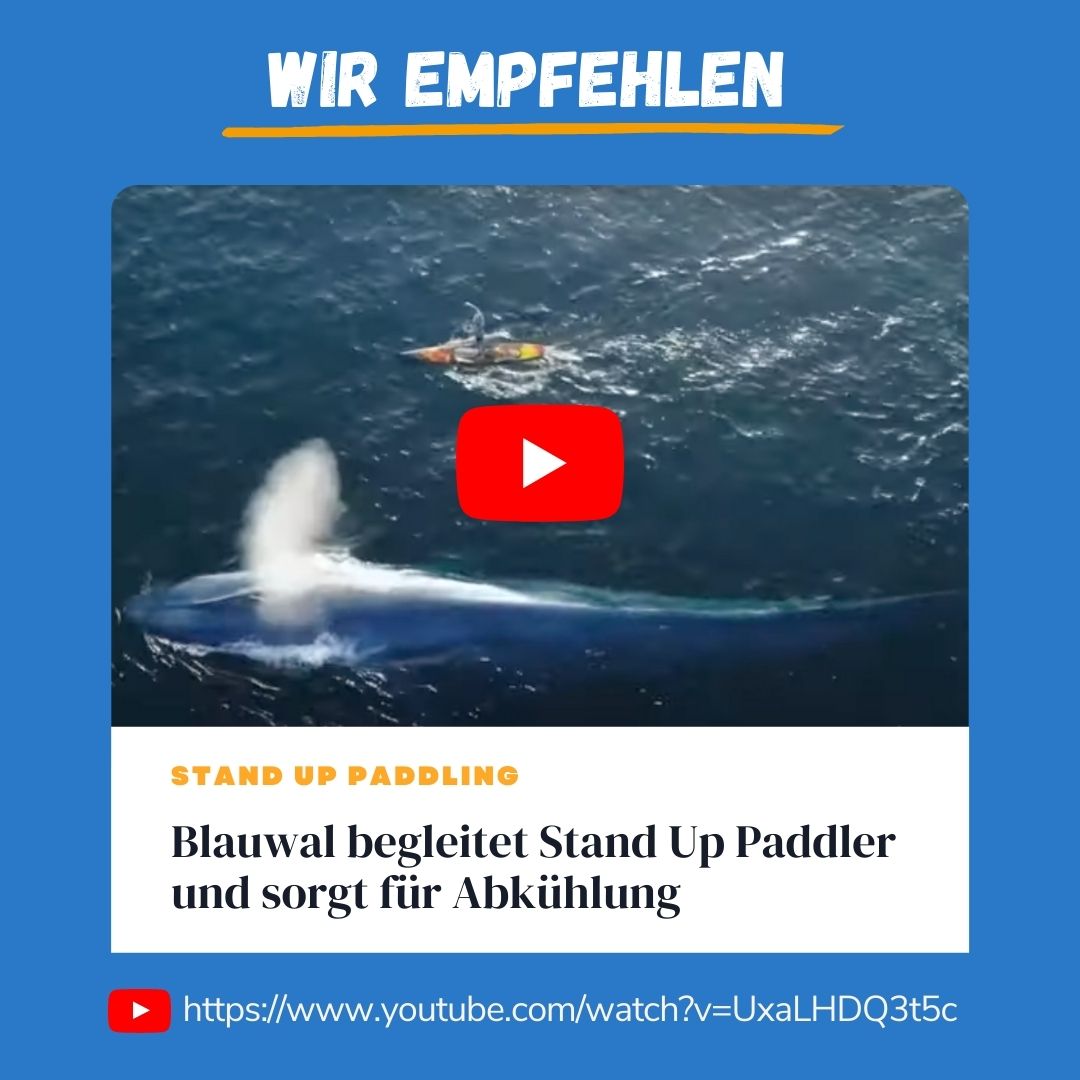 Achtung, das wird imposant! 🤩

Wir freuen uns, wenn wir uns in Wasserfallnähe von den seichten Tropfen des kühlen Nass auf unseren SUP Boards berieseln lassen können. 

Alles banal gegen das, was Rich German aus Orange County erleben durfte und Fotograf Mark Girardeau mit der...