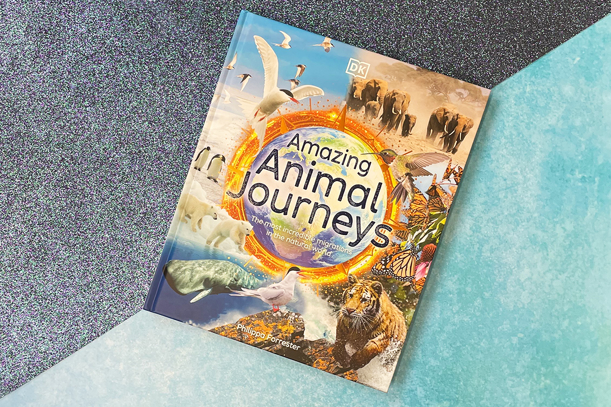Did you know that Monarch butterflies use Earth's magnetic field to trace a path along North America? Or that Arctic Terns travel from the Arctic to the Antarctic and back every year? 🤯 Amazing Animal Journeys is perfect for animal-obsessed kids, along with curious adults! 😉