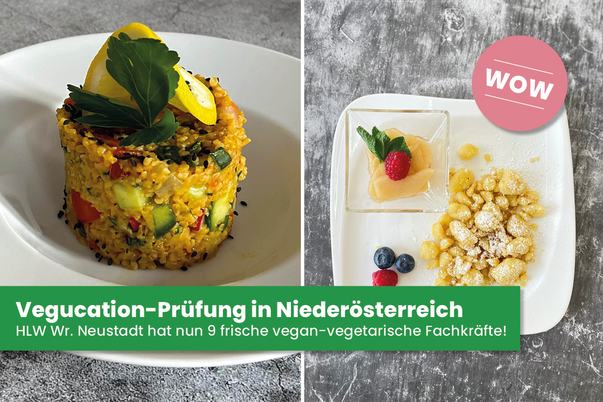vgn_at's tweet photo. Vergangenen Montag fand wieder eine Vegucation-Prüfung bei der HLW Wiener Neustadt statt und 9 Schülerinnen haben dabei mit Bravour bestanden! 😍👏
Ihr wollt mehr zu unserem Vegucation-Programm erfahren? Dann bitte einmal hier entlang ➡ https://t.co/8PRrOiD558 ☺ https://t.co/oSQhKz2VUq