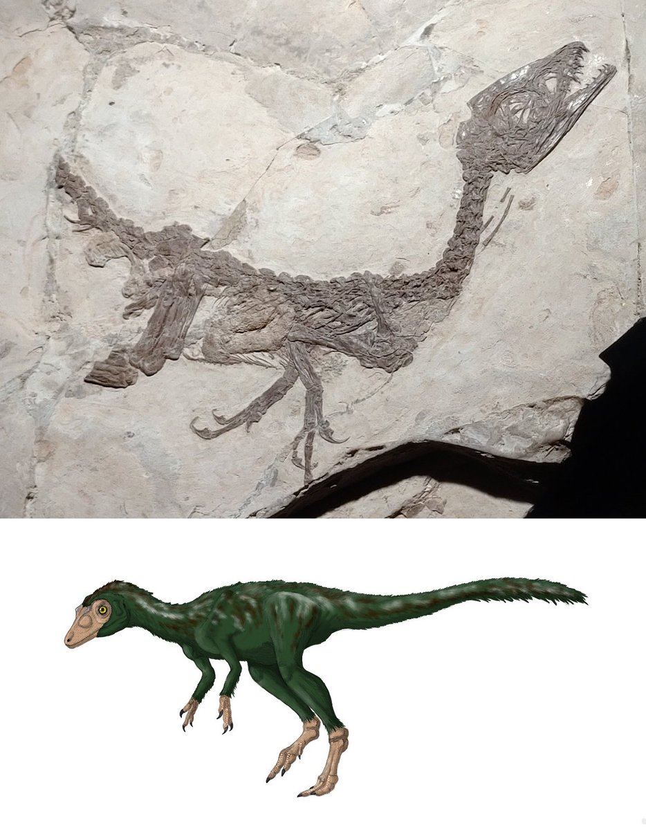 スキピオニクス