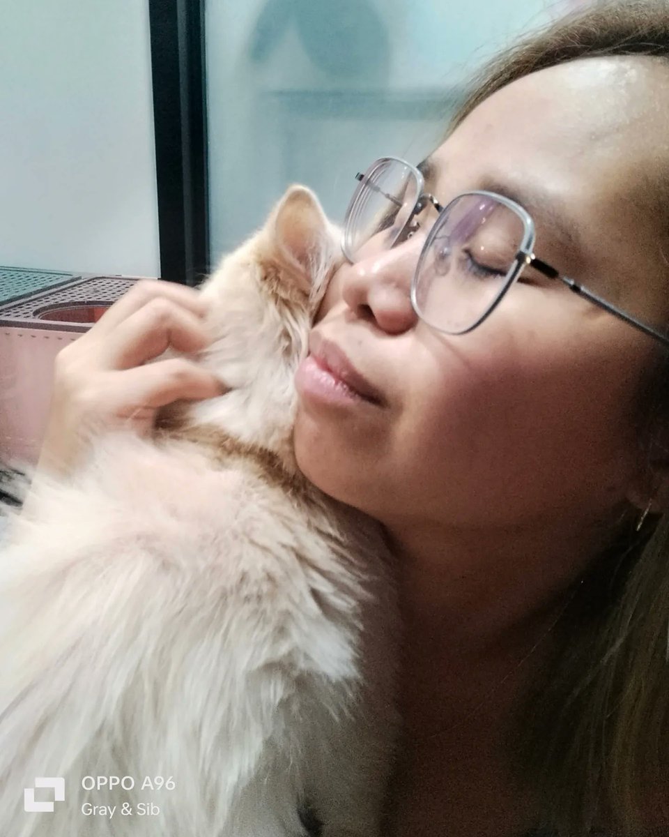 Gray And Siblings tweet media