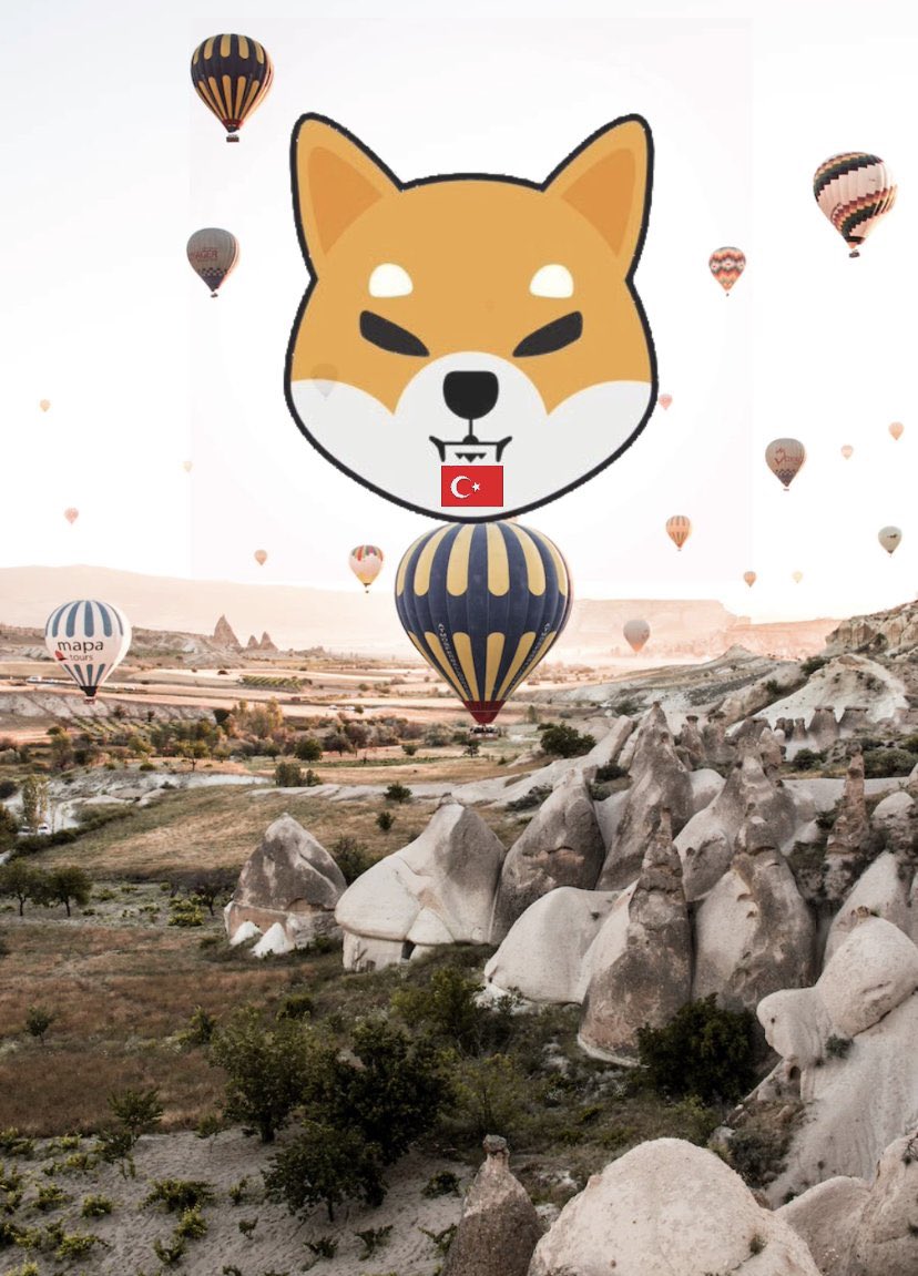 Bark if you're holding more than 5+ Million! 👇

🗣️WOOF! $SHIB

#HappyBirthdaySachin #AustraliaGP #SuccessionHBO #AppleBKC #amici22 
#BEEFNetflix #11Shibarmy #الاتحاد_الهلال #11thYEARSWITHEXO #AROHA #HAPPYJENODAY #Crypto #EidMubarak