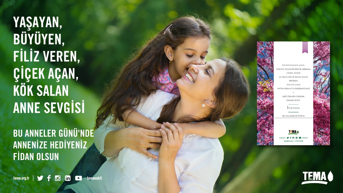 Yaşayan, büyüyen, filiz veren, çiçek açan, kök salan anne sevgisi 🙏

Bu Anneler Günü’nde annenize ve anne sevgisini bizden esirgemeyen herkese hediyeniz fidan olsun🌱

Fidan bağışı ve basılı/dijital sertifika talebi için 👉 tema.org.tr/anneler-gunu-s…