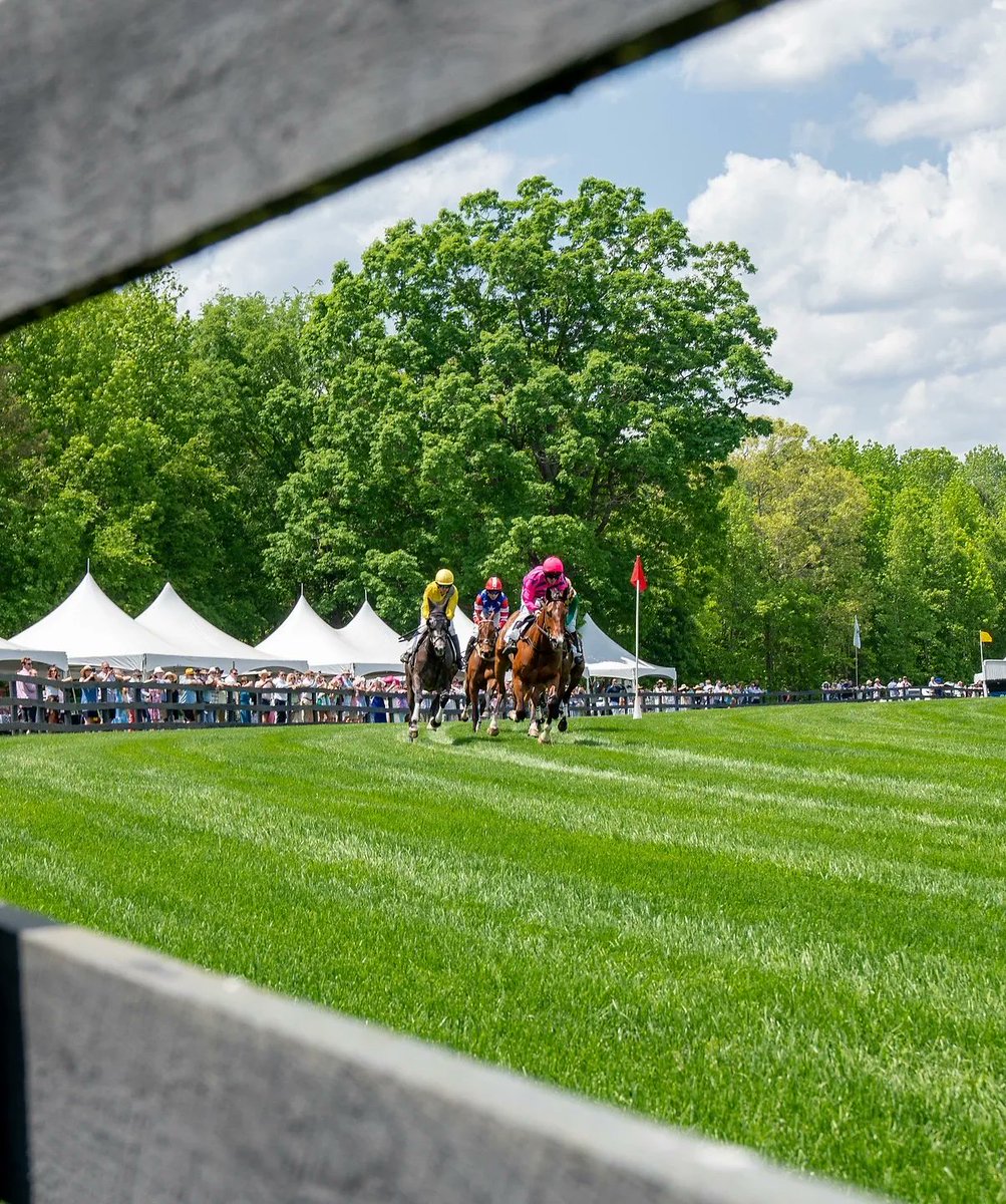 Turning the corner into race week and now all eyes are on the weather…

We run rain or shine but we (strongly) prefer the latter 🙏