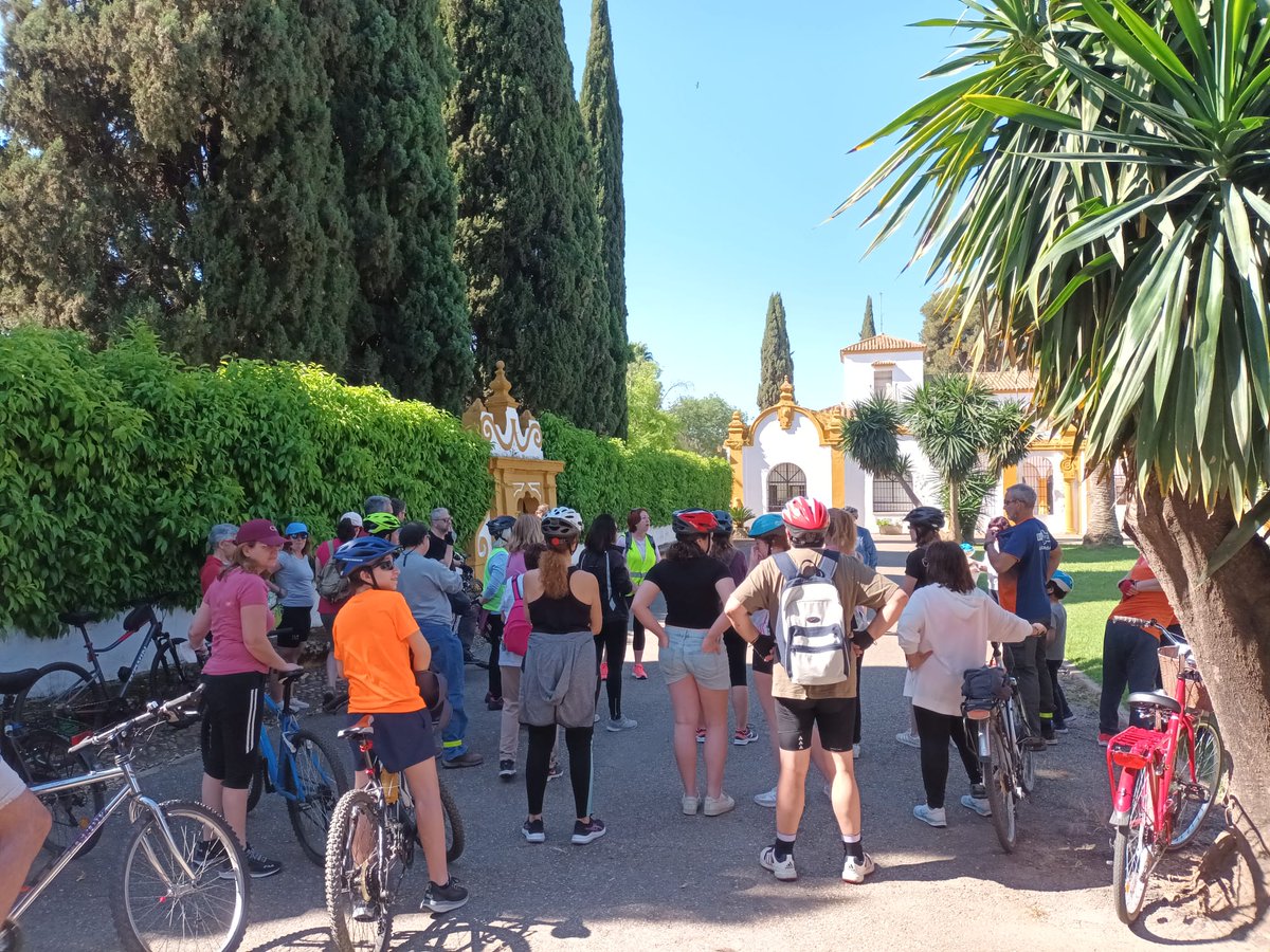 ZumayaAc's tweet photo. Ayer  las bicicletas nos pasearon por diferentes ejemplos de Monumentos  pertenecientes al Catálogo de Bienes Protegidos de nuestra ciudad:  Rectorado, antigua ETSIAM, Alameda del Obispo y Molino de Casillas. @muevtcordoba #bicicleta #Córdoba #movilidadsostenible https://t.co/YxATQHKwVN