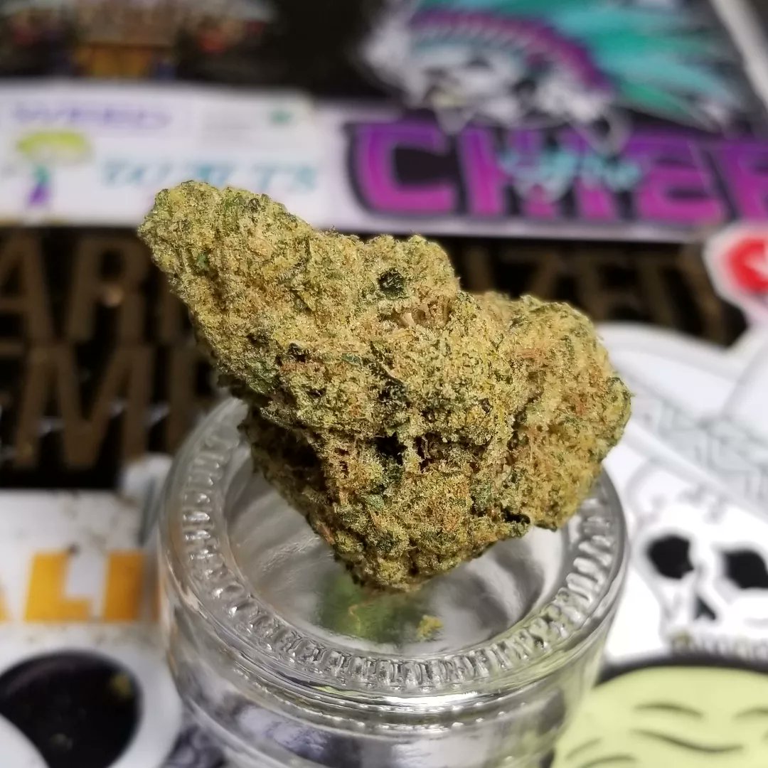 Northern_Wayz's tweet photo. Pink Cookies - @Organigram_Inc / Big Bag Of Buds

Earthy notes enveloped in sweet vanilla cake terps, trail off into a bittering crescendo where I’m astonished to say the translation to smoke is executed perfectly. 

#Mmemberville 
#CannabisCommunity 
#cannabisculture https://t.co/9sSy65z5hb