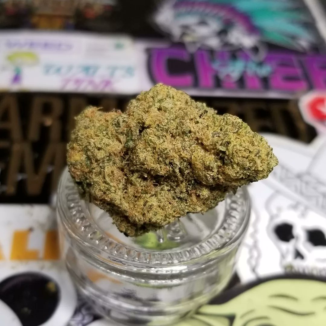 Northern_Wayz's tweet photo. Pink Cookies - @Organigram_Inc / Big Bag Of Buds

Earthy notes enveloped in sweet vanilla cake terps, trail off into a bittering crescendo where I’m astonished to say the translation to smoke is executed perfectly. 

#Mmemberville 
#CannabisCommunity 
#cannabisculture https://t.co/9sSy65z5hb