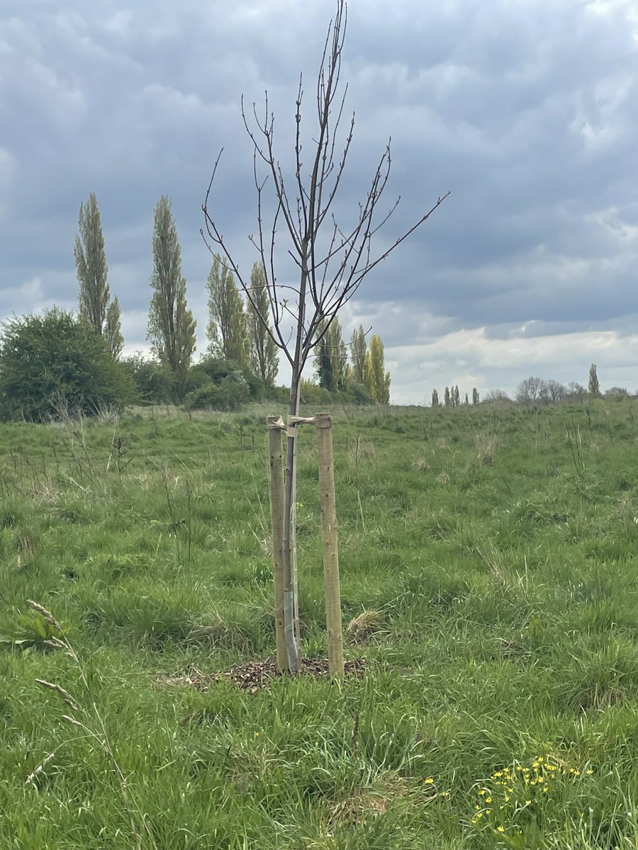 memorymilkgift's tweet photo. This morning we’ve taken a short walk from the Milk Bank to see the progress on a very special project that we have been working on with some incredible partners. We can’t wait to be able to share more 🤍 #memorymilkgift https://t.co/HxKFOFWckf