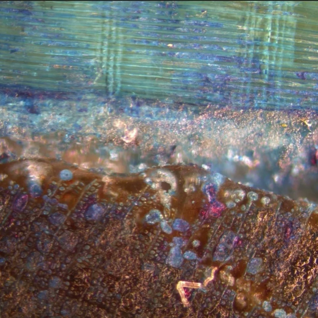 YoungConservators tweet media