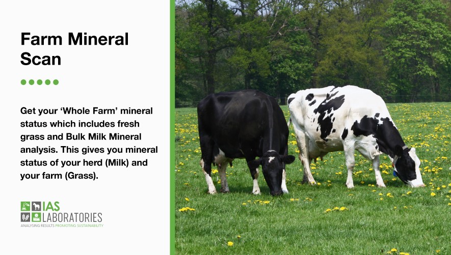 IASLabs's tweet photo. Is your Herd ready for Breeding Season?
Minerals play an important role in a successful breeding cycle. Sufficient levels of trace minerals including copper, iodine, vitamin E, and zinc help cows maintain robust immune systems and strong heats.
Order now: https://t.co/22IxQXW8O4 https://t.co/hlscQOEFgY