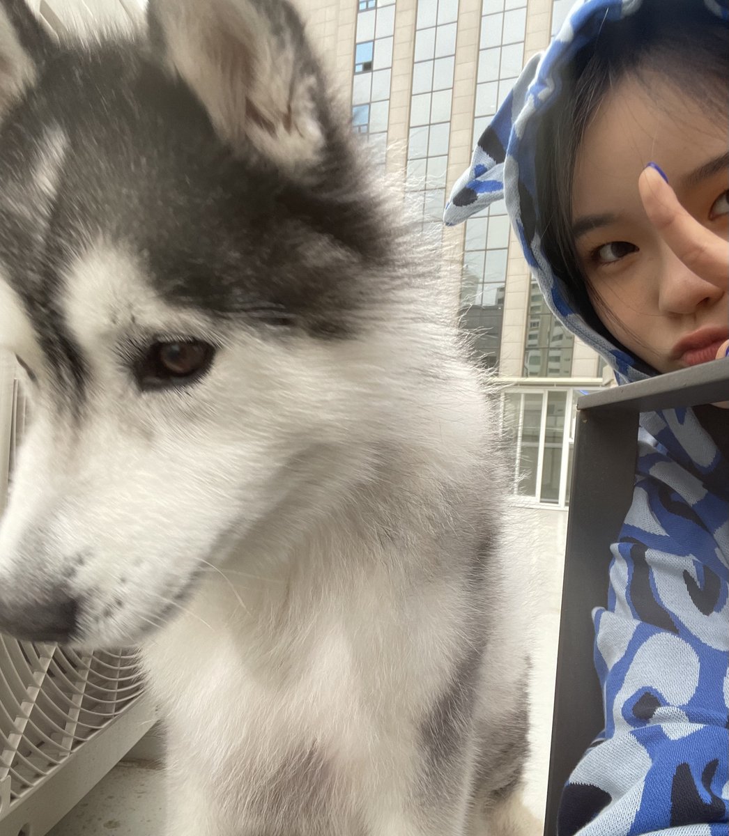 ceocona's tweet photo. Today’s fit check along with this fluffiest cloud! The doggo was a bit shy however, I managed to get a selfie although it took me some time. A little tip from Cona, if you find a blooming flower around you, make sure to take a snapshot. 🌸 https://t.co/1fDV6VzLTO