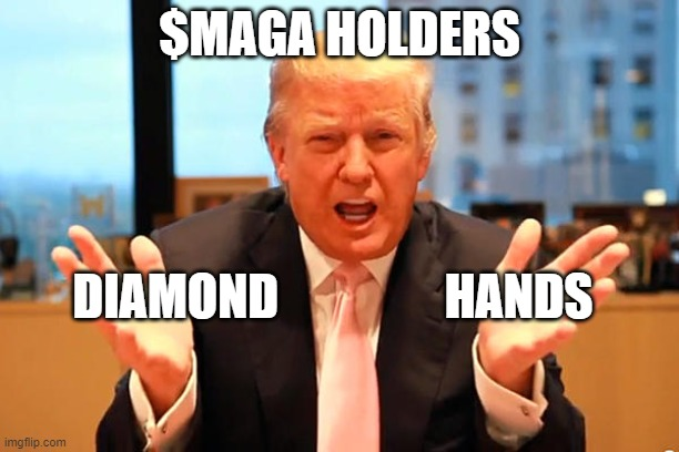 $MAGA tweet media