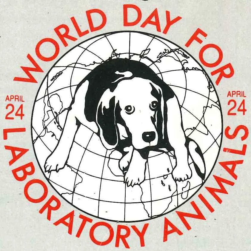 VystopiaMusic's tweet photo. Today is World Day for Laboratory Animals
90% of the trials that are "succsesful" on animals still fail on humans.
Support alternative methods ๐๐ค๐
#WorldDay #LaboratoryAnimals #Support #AlternetiveMethods #Donate https://t.co/zvSED6Zy9d