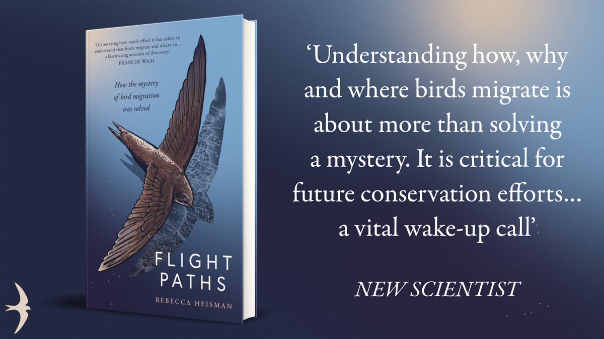 BirdRunmigrate's tweet photo. New prizes!  2 runners up will each receive a copy of Flight Paths - the beautiful and revealing new book by Rebecca Heisman @_SwiftPress @swiftsweek @swifts_uk @oxford_swift @BBOWT @S6swifts @Swiftsinuk Enter now - time is running out https://t.co/x5pz4lPjfi https://t.co/S2OuLeMjBG