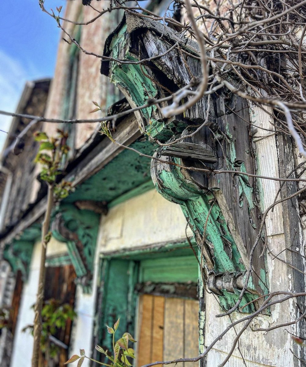 Mike Wolfe tweet media