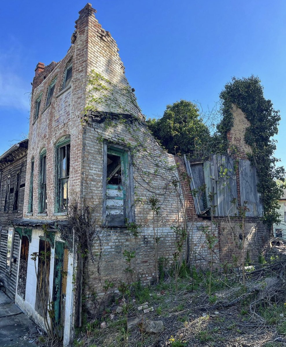 Mike Wolfe tweet media