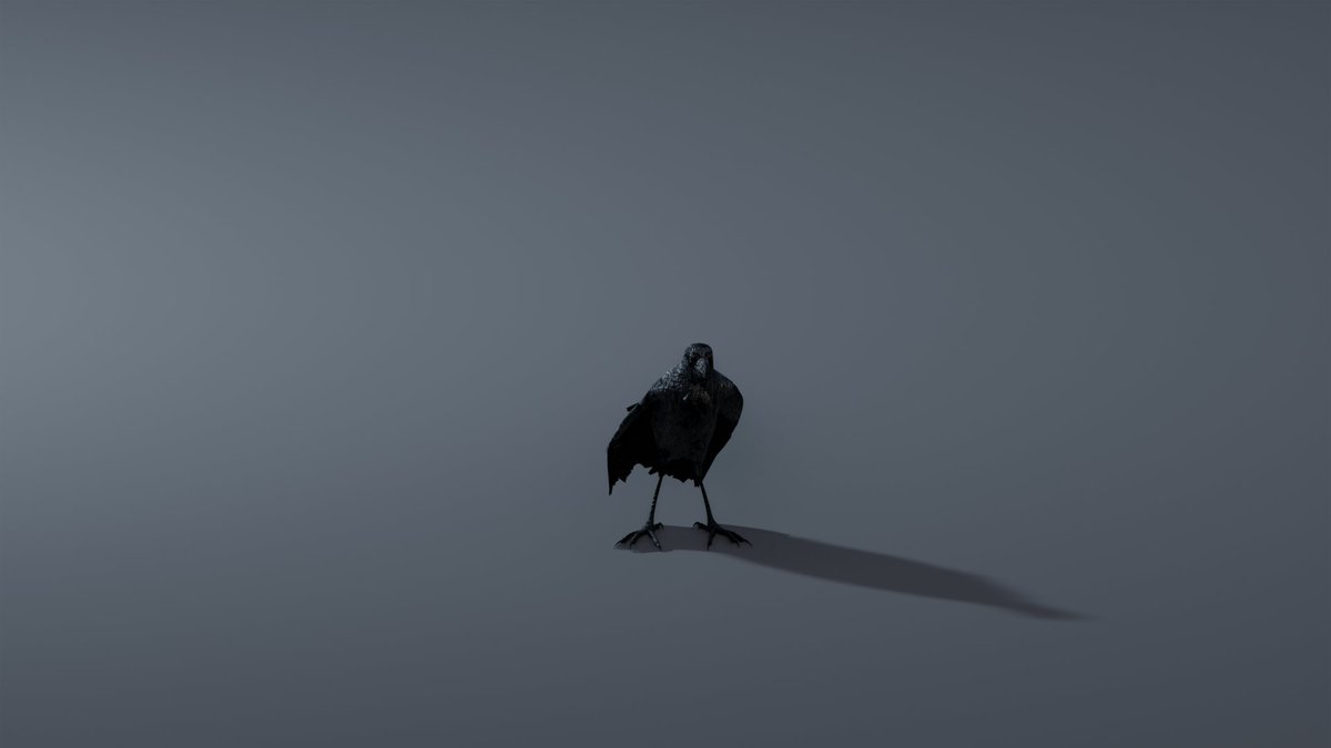 3d_secret's tweet photo. Photorealistic Crow - Rigged
download it here :
https://t.co/4ZV9q3qq9j
#blender #3d #3dgame #VRChat_world紹介 #VRC #VRChat #b3d #3dasset #3danimal https://t.co/6YdXxYDmlL