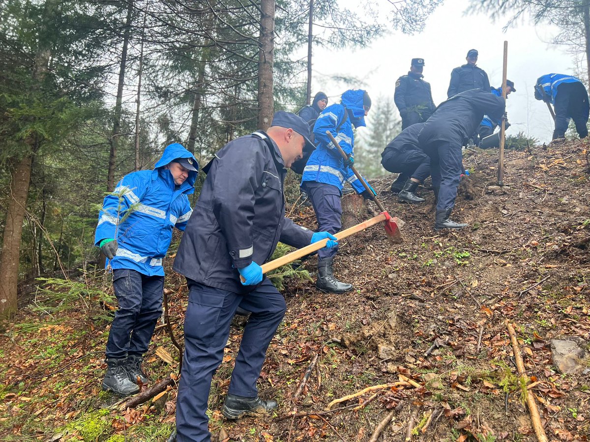 RNP_Romsilva's tweet photo. ℹ️ 🇷🇴 Jandarmi suceveni la lucrări la #împăduriri la Ocolul Silvic Marginea din cadrul #Romsilva

ℹ️ 🇬🇧 #Afforestation works at Marginea Forest District, in #Suceava county, #Romania   

 #forests #nature #păduri #pădure #silvicultură #ForestryWorks #forestry #nature #natură https://t.co/m2cQoneP6w
