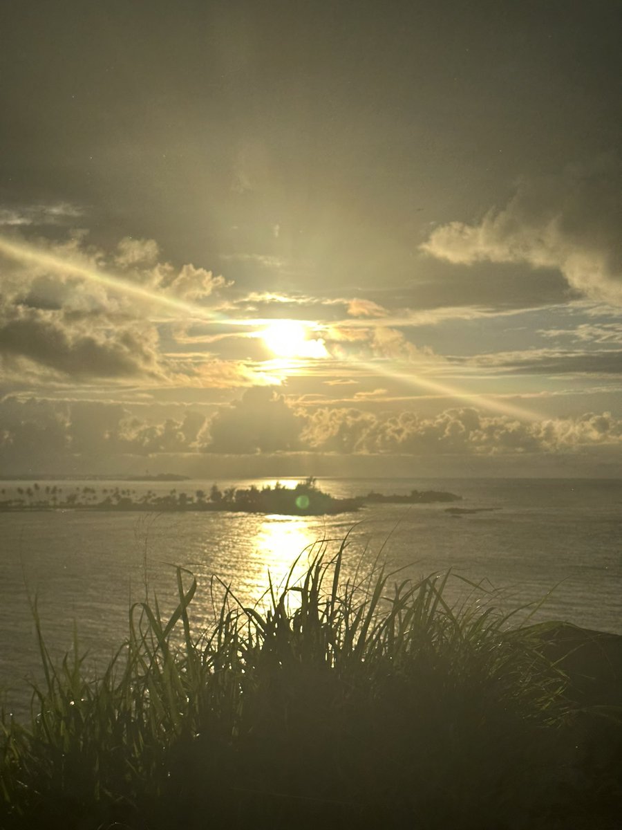 Jaba_mulata's tweet image. Never seen anything more beautiful