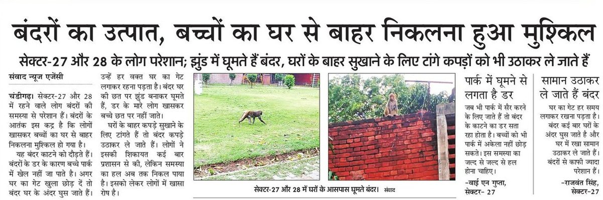 AU_CDGNews's tweet photo. चंडीगढ़ सेक्टर 27-28 में बंदरों का आतंक
#CityProblem 
#Chandigarh
@FMEnvng @gupta_anup https://t.co/bi8EblMb5F