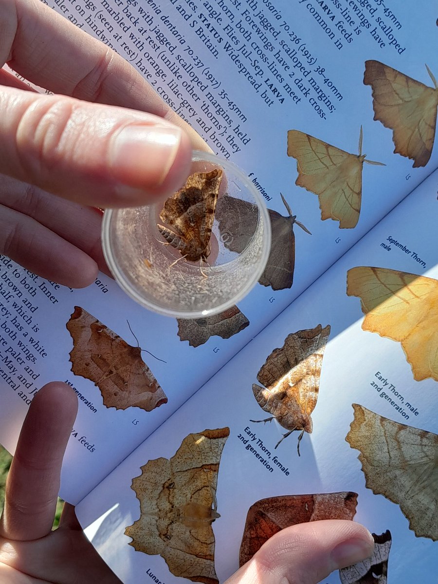 Abi Smyth tweet media