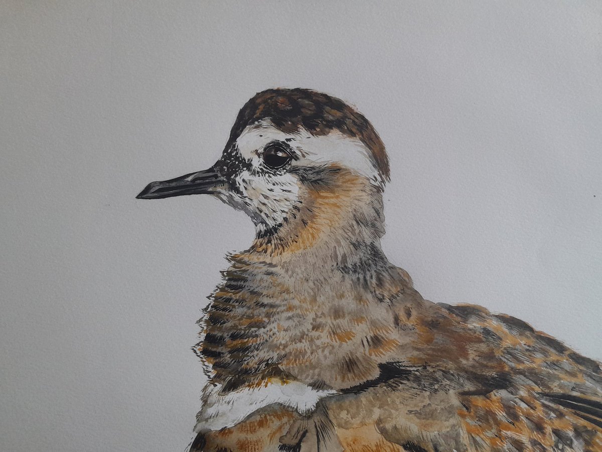 Abi Smyth tweet media