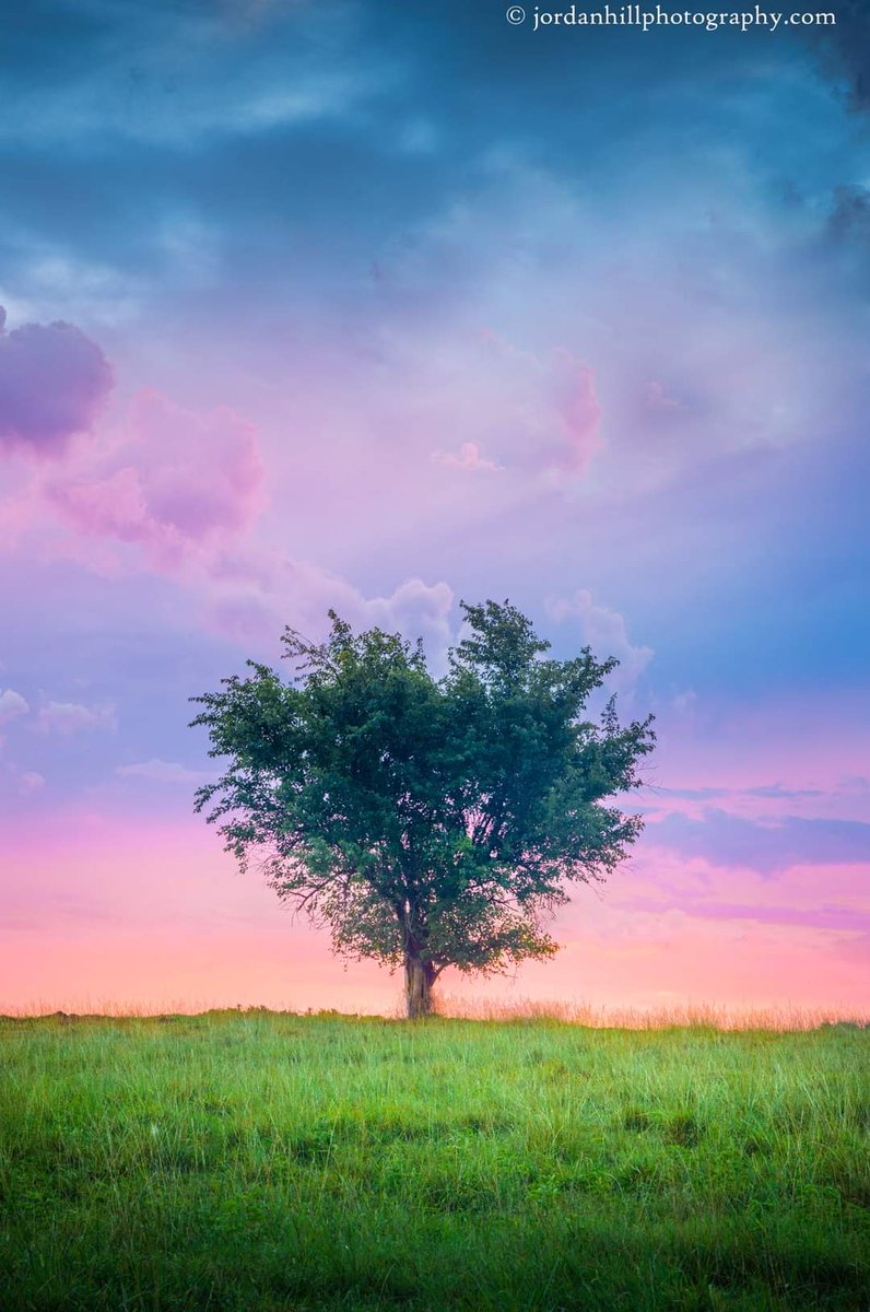 The Heart-Shaped Tree
jordanhillphotography.com/featured/heart…

#nature #stormclouds #cloudscape #sunrise #outdoors #mississippi #photooftheday #photographer #naturephotography #BuyIntoArt #tree #photo #treephotography #country #minimalism #artist #art #ethereal #wallart #homedecor #AYearForArt