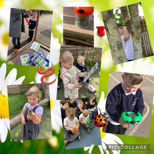 Some of the children in reception have enjoyed searching for mini-beasts and plants this morning #ParklandsCPlove2learnEY #ParklandsCPlove2learnScience