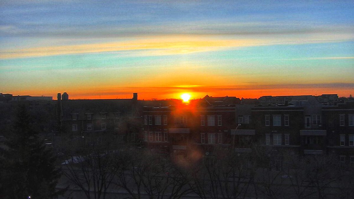 Chris Arden Haynes tweet media