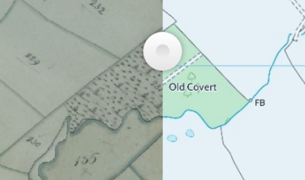 GMEU is revising the Ancient Woodland Inventory in Greater Manchester and we'd love your help.
Volunteers are needed to compare woods with old mapping to evidence their age.
Interested vols should email awi@gmwildlife.org.uk DM via twitter <a href="/GMrecordcentre/">GMLRC</a> or DM via facebook