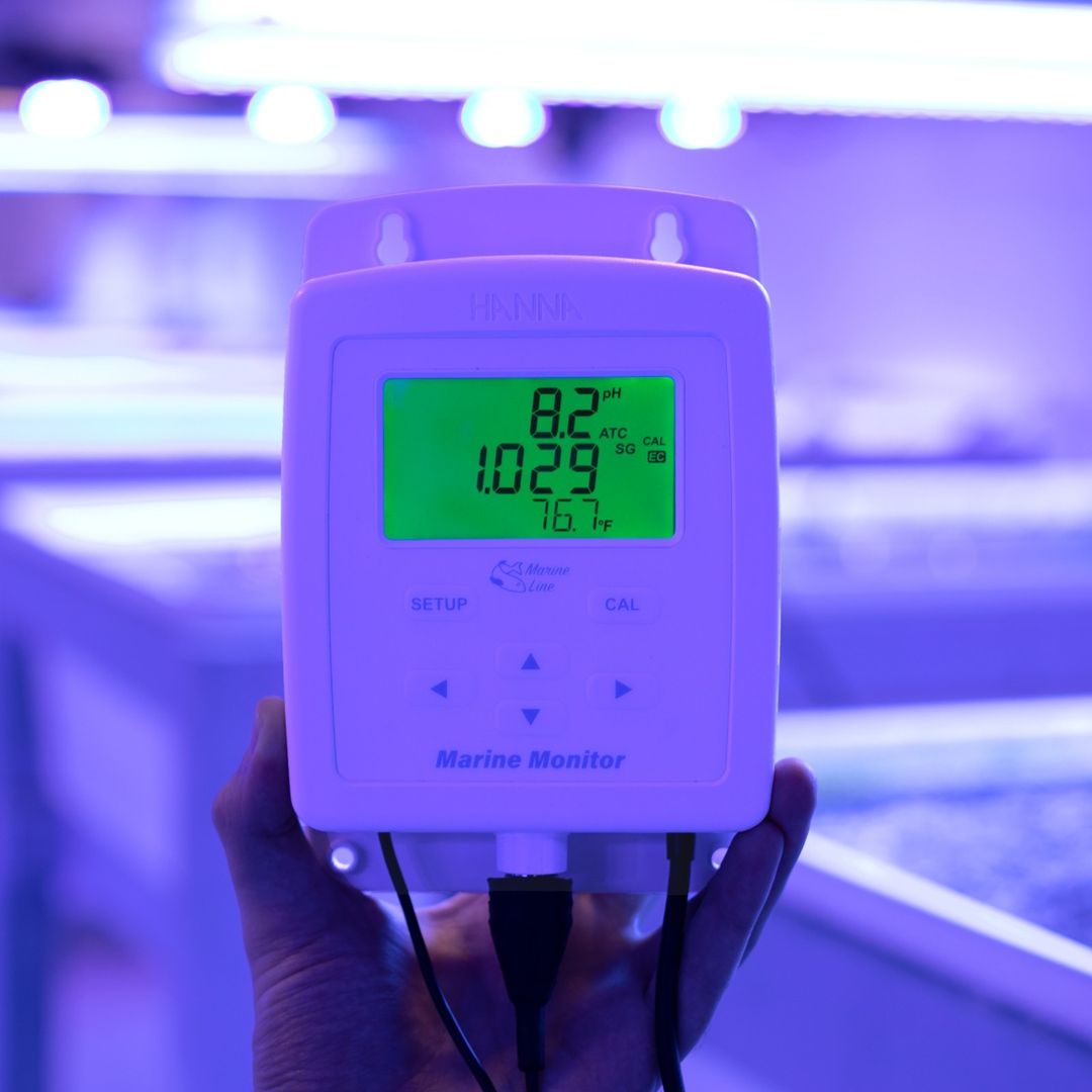 HannaInstUK's tweet image. Say hello to the new Marine Monitor!

🔥Available Now: hubs.la/Q01L6YGB0...

#hannainstruments #reeftank #saltwateraquarium #reefrevolution #eatsleepreef #saltwatertank #allmymoneygoestocoral #aquarium #aquaculture #fishfarms