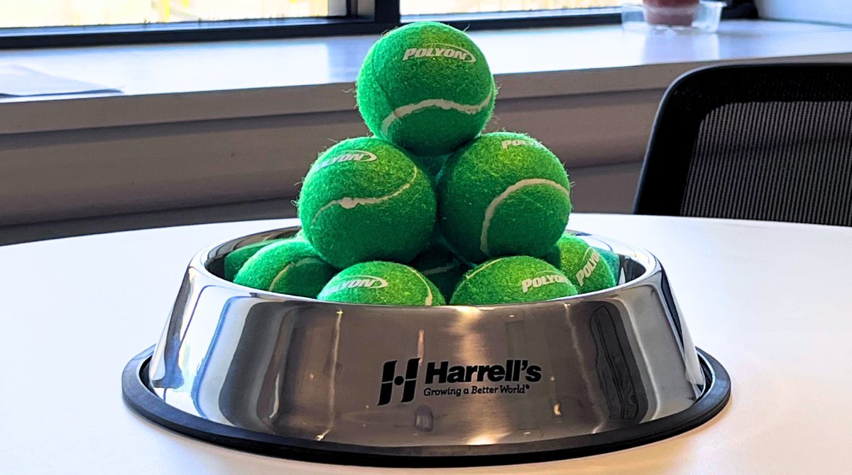 HarrellsLLC's tweet image. Our #dogsofturf photo contest starts today! 🥳

Now until Wednesday, post your pups out on the turf and tag @HarrellsLLC for a chance to win!

A Harrell's dog bowl and POLYON® tennis balls are up for grabs so don't miss out! 🐾