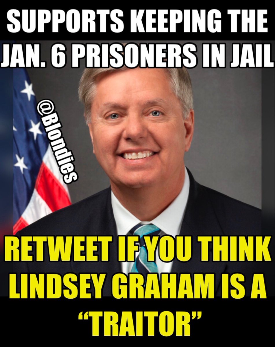 Lindsey is a TRAlT0R‼️ Release the JAN 6 prisoners‼️