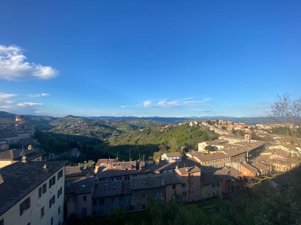 Augusta Anthony tweet media