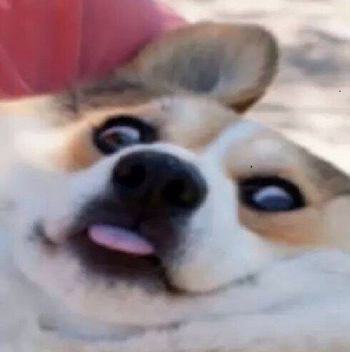 Guys, I have bad news, I checked the queue at YCH and there were more than 10 people. I planned to take<a href="/tag/commissionsopen"class="tags"><span>#commissionsopen</span></a><a href="/tag/ych"class="tags"><span>#ych</span></a>
