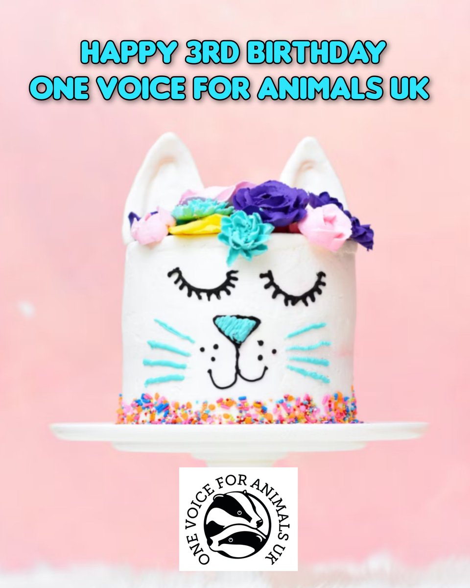 Happy 3rd Birthday to #onevoiceforanimalsuk

We are here to #helpanimals and help the people who help animals

helpanimals.co.uk
#helpanimalsday