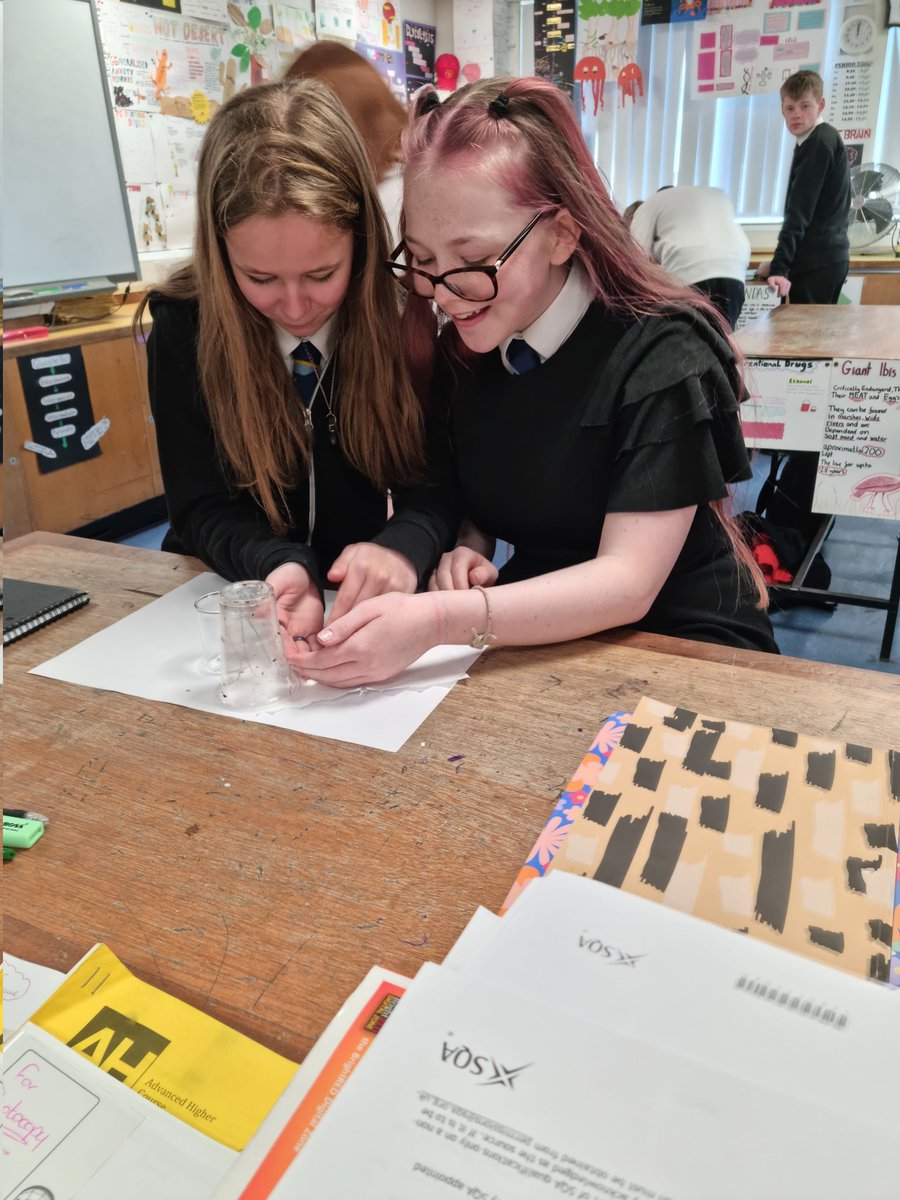 brannockscience's tweet photo. S3 biology pupils used pitfall traps to sample the biodiversity around the school. They collected and identified spiders, beetles and other insects🕷🪳🐞 https://t.co/vhxifDDToh