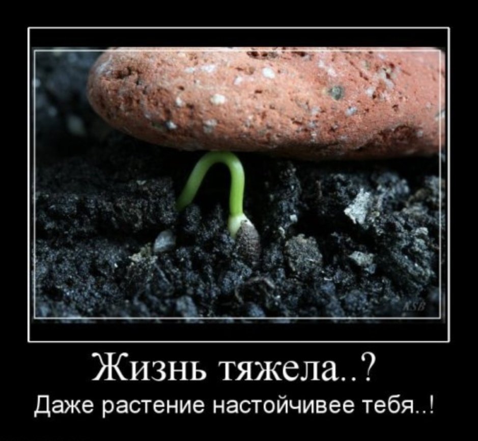 Демотиваторы которые заставляют задуматься