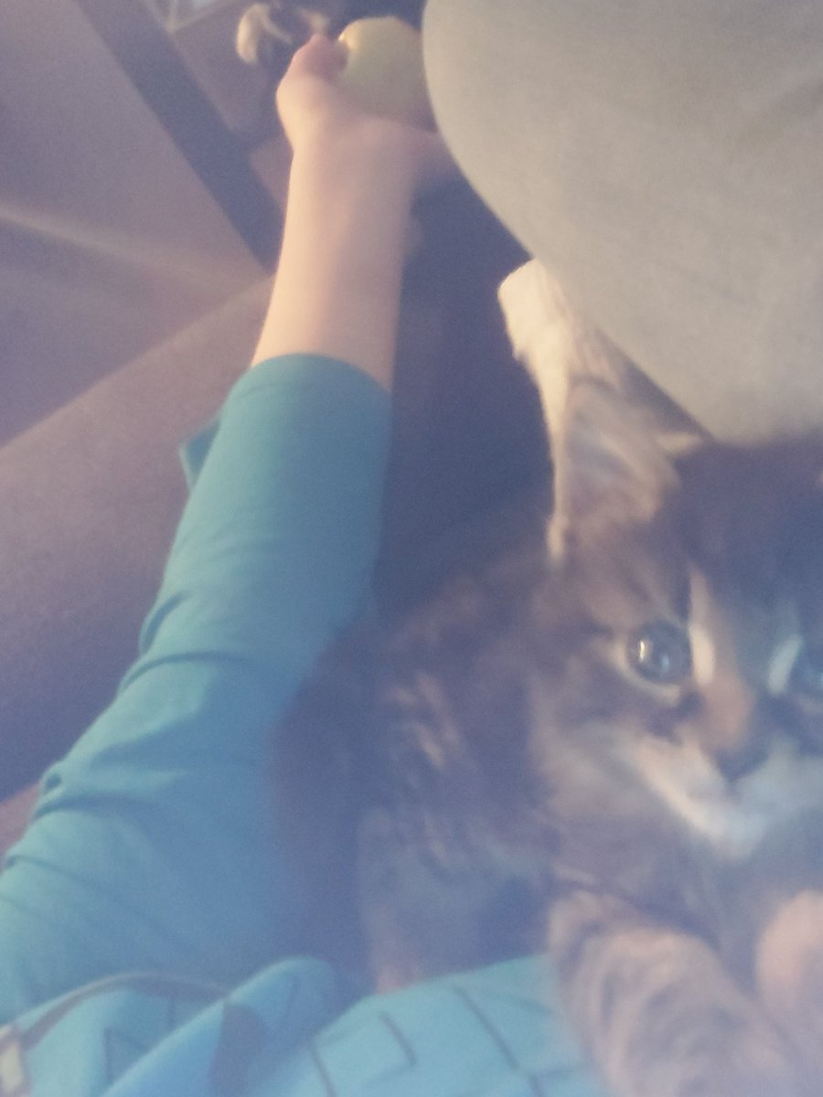 BabyEnderManYT tweet media