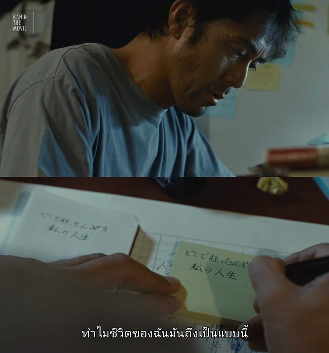 ม่อนๆเป็นแมวจร tweet media